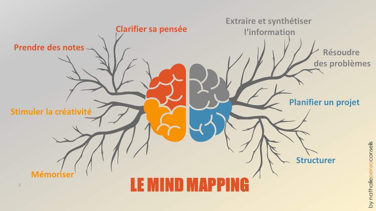 Atelier MindMapping – Carte Heuristique – nathalie penso conseils